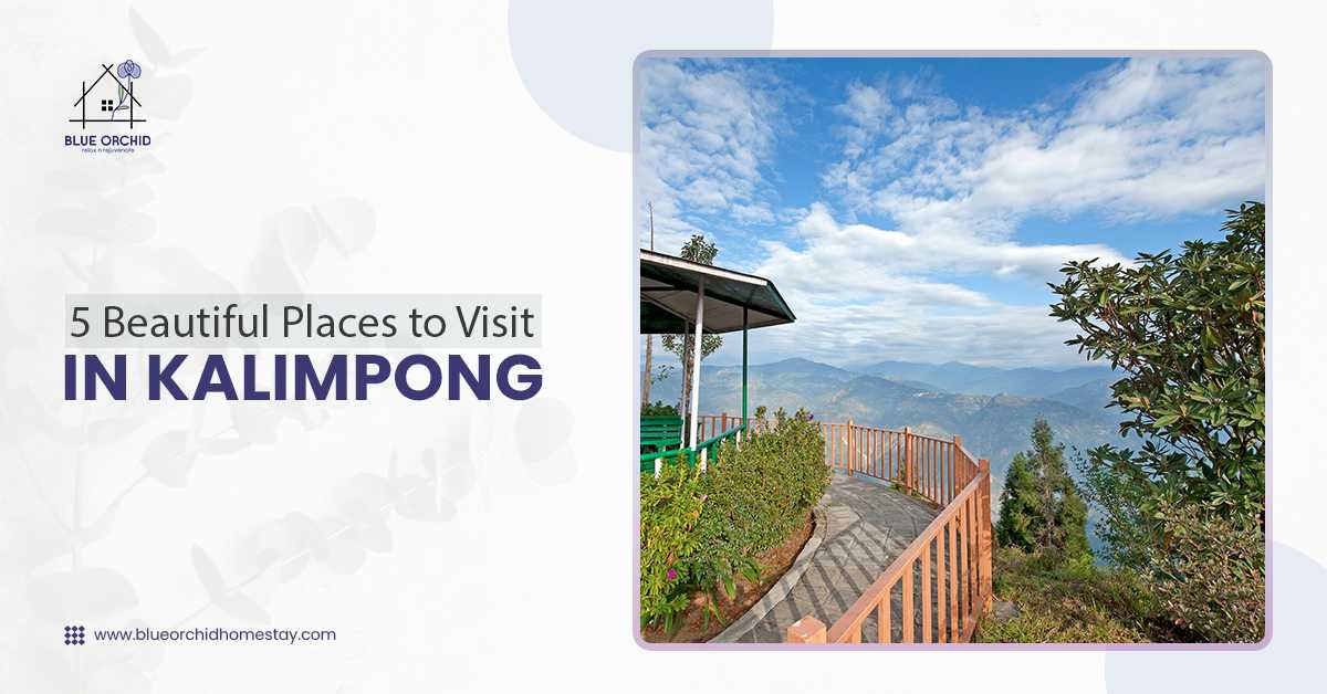 Budget Hotels in Kalimpong