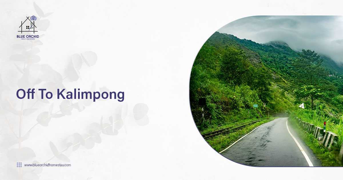 Is Kalimpong Worth Visiting? – Let’s Discover