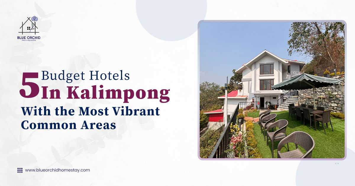 5 Budget Hotels in Kalimpong with the Most Vibrant Common Areas