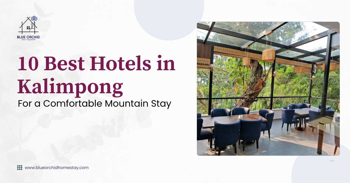 10 Best Hotels in Kalimpong for a Comfortable Mountain Stay (2026 Guide)