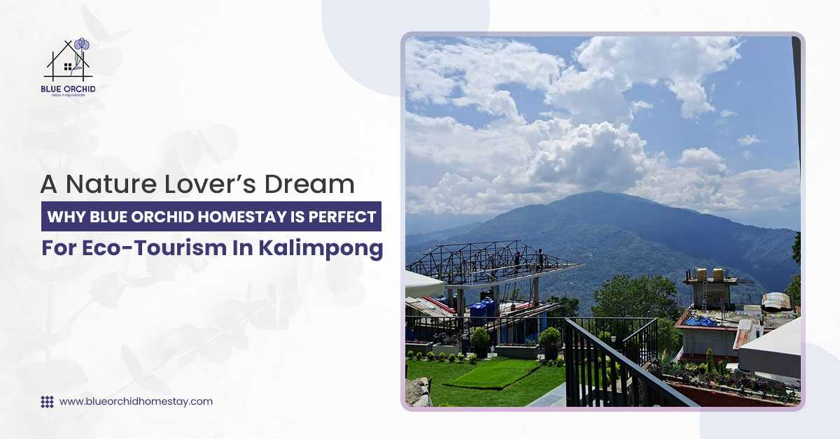 A Nature Lover’s Dream: Why Blue Orchid Homestay Is Perfect for Eco-Tourism in Kalimpong