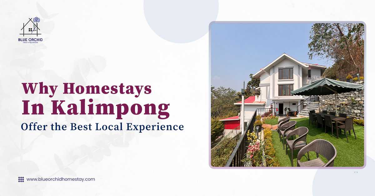 Why Homestays in Kalimpong Offer the Best Local Experience