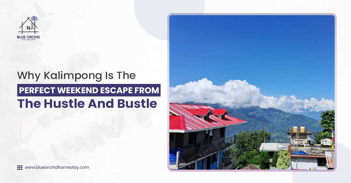 best places to stay in Kalimpong