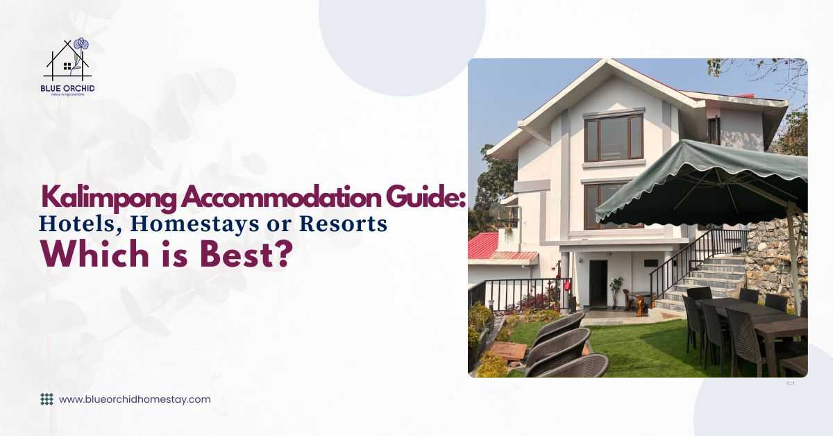 Kalimpong accommodation guide featuring Blue Orchid Homestay, one of the best places to stay in Kalimpong with modern mountain lodging