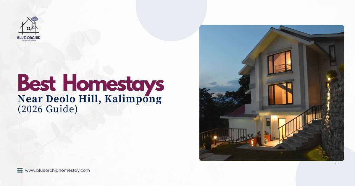 Best homestay in Kalimpong near Deolo Hill featuring Blue Orchid Homestay with comfortable accommodation and scenic mountain surroundings