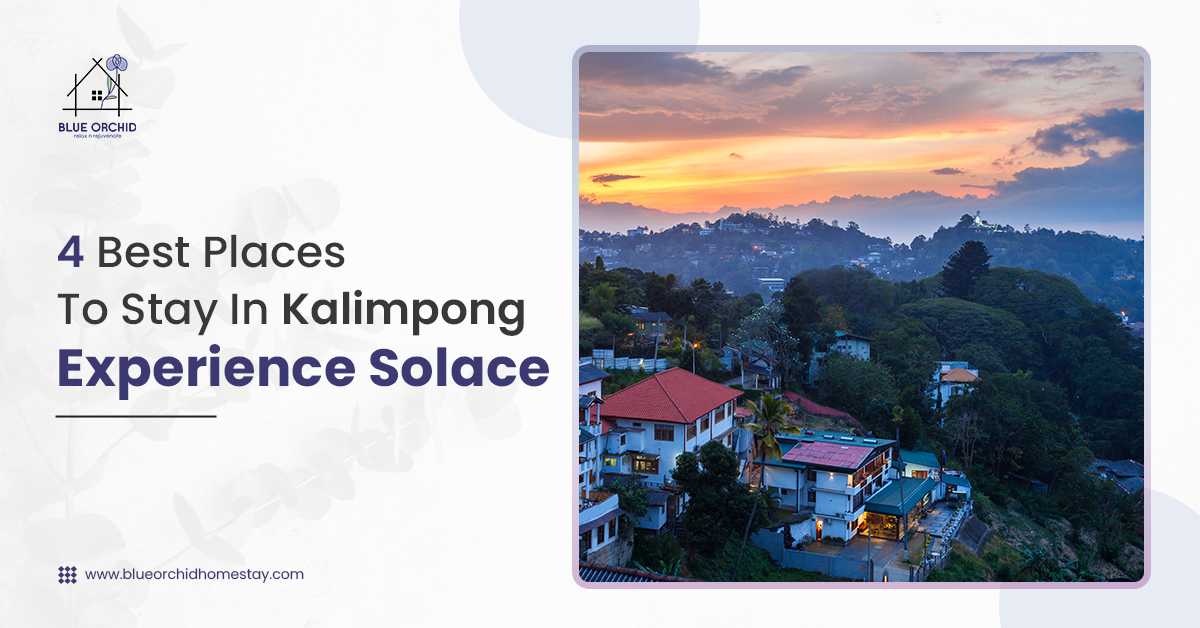 4 Best Places To Stay In Kalimpong To Experience Solace