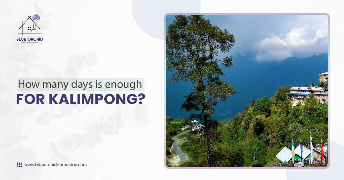 Low Price Hotel in Kalimpong