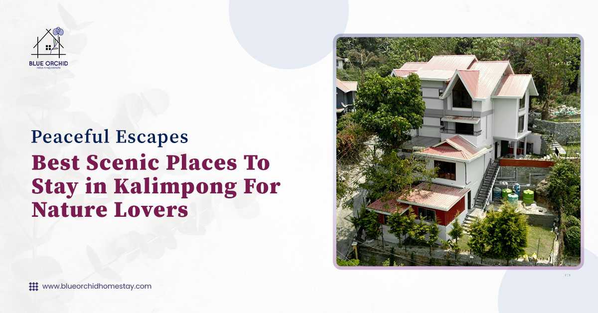Peaceful Escapes: Best Scenic Places to Stay in Kalimpong for Nature Lovers