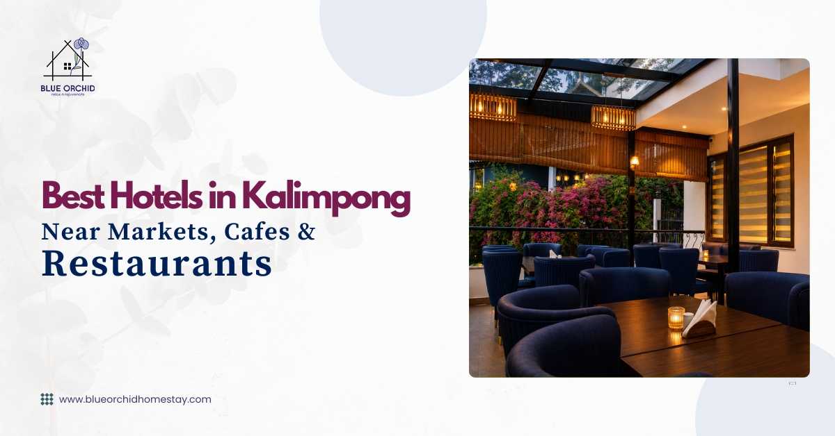 Best Hotels in Kalimpong Near Markets, Cafes, and Restaurants