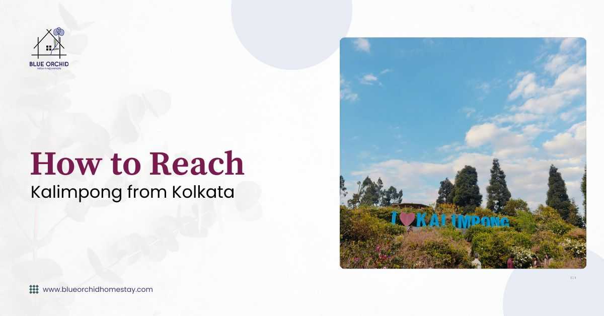 How to reach Kalimpong from Kolkata travel guide by Blue Orchid Premium Homestay