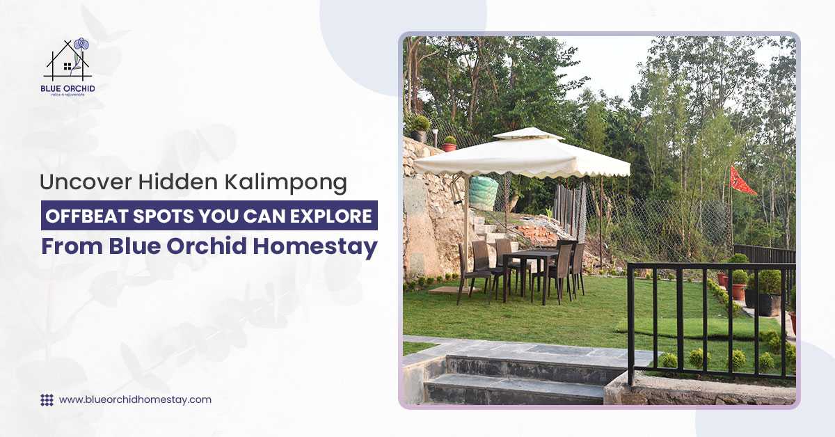 Uncover Hidden Kalimpong: Offbeat Spots You Can Explore from Blue Orchid Homestay