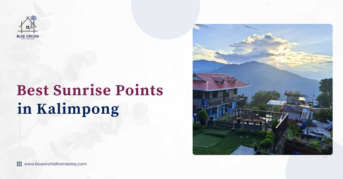 Best sunrise points in Kalimpong with panoramic Himalayan mountain views near Blue Orchid Homestay
