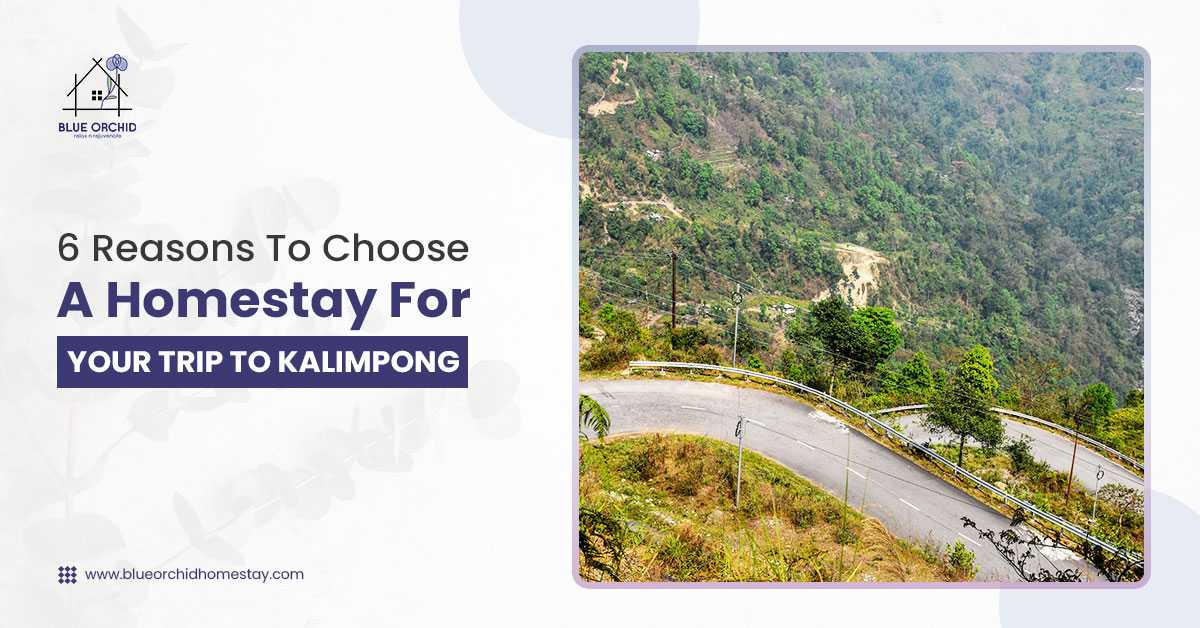6 Reasons to Choose a Homestay for Your Trip to Kalimpong