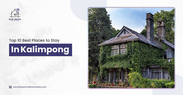 Top 10 Accommodation Options In Kalimpong