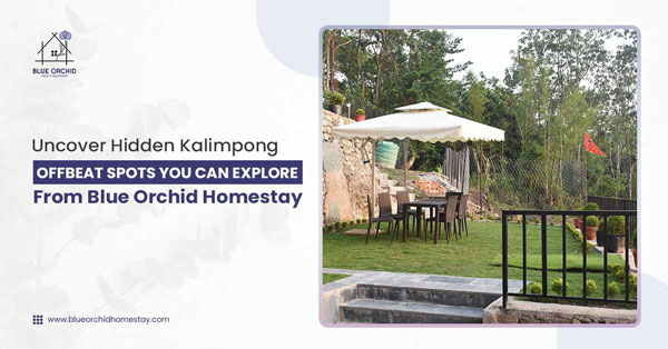 Uncover Hidden Kalimpong: Offbeat Spots You Can Explore from Blue Orchid Homestay