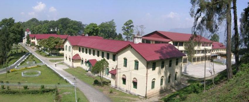 Dr. Graham’s Homes