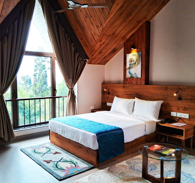 Premium Double/Triple Occupancy Rooms